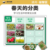 幼儿园小中大班区域材料春天 分类寻找益智区桌面游戏自制教玩具