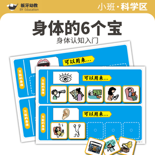 幼儿园小中班区域玩具自制教具益智语言身体认知分类自闭启智早教