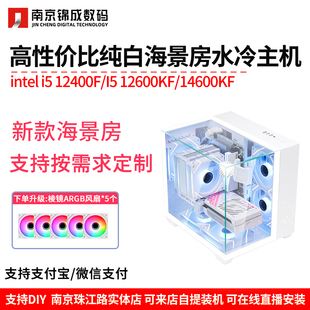 英特尔i5/12400/12600K/14600KFDIY台式纯白mini海景房游戏整主机