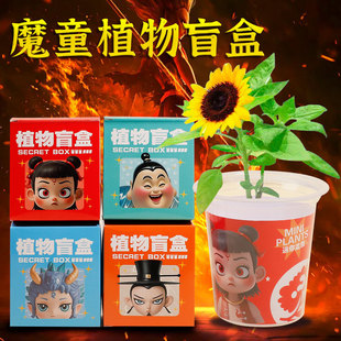 创意盲盒哪吒室内桌面小图案可儿童种植观景礼品盆栽绿植7tY37kQ