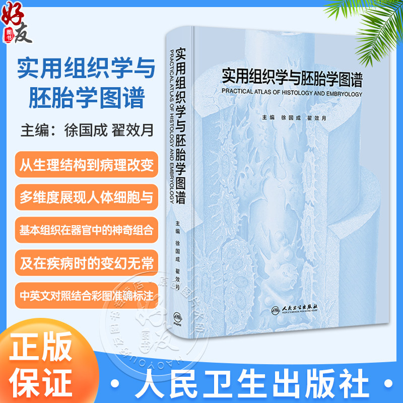 实用组织学与胚胎学图谱 徐国成 翟效月 主编 中英文对照结合彩图准确标注 既体现了学术严谨性又直观易懂 基础医学人民卫生出版社