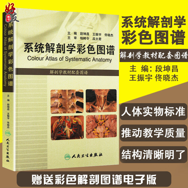 系统解剖学彩色图谱 段坤昌 人体解剖学人民卫生出版社基础医学系统解刨学基础人体解剖彩色学图谱解刨系统解剖学解剖图谱系统解刨