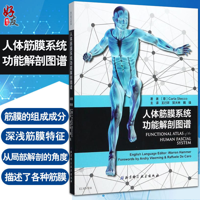 正版 人体筋膜系统功能解剖图谱 贺大林主译 意大利引进中文简体版