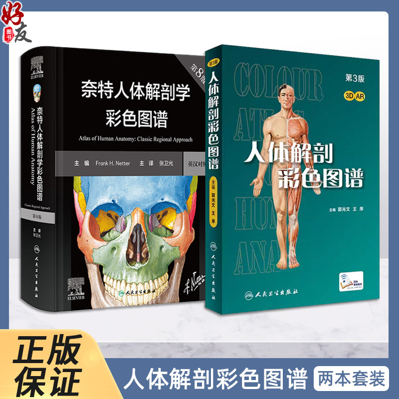 奈特人体解剖学彩色图谱第八版