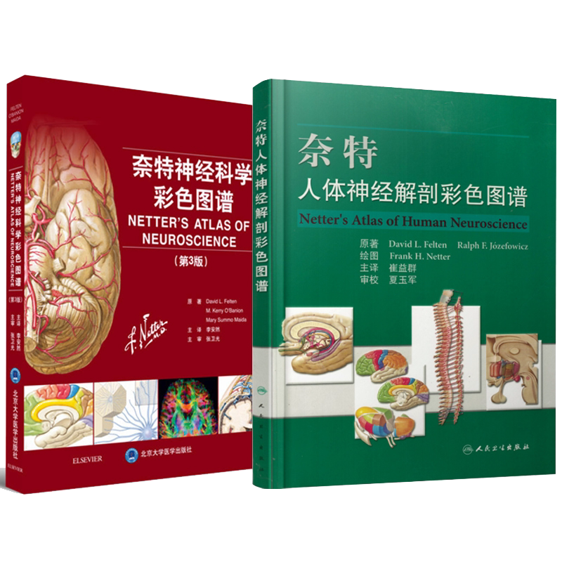 共2册 奈特人体神经解剖彩色图谱+奈特神经科学彩色图谱第三3版奈特神经系统临床解剖书 内科学神经科学抑郁症睡眠障碍临床医学