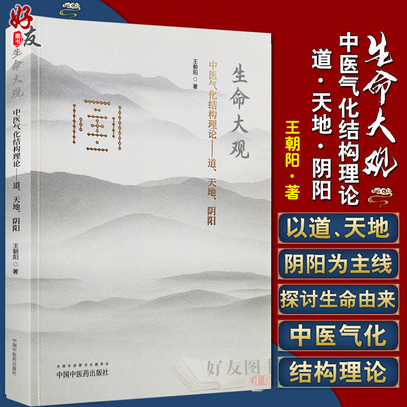 生命大观 中医气化结构理论 道 天地 阴阳 王朝阳 中国中医药出版社 中医天地气化理论人体气化结构五行学说经络与脏腑关系