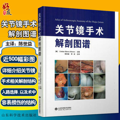 正版 关节镜手术解剖图谱 500幅彩色图片 涵盖人体各大关节 陈世益 李宏主译 山东科学技术出版社9787533189181