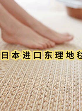 东理TOLI家用环保地毯