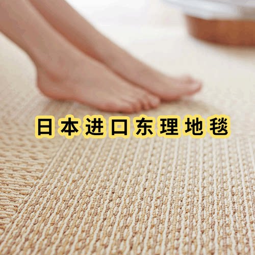 东理TOLI家用环保地毯