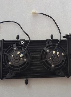 赛科龙RA2水箱250-12散热器风扇