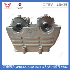 XQ250250T-3.RT3大林Q3缸头总成