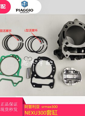 宗申VESPA300套缸 GTS300GTV300SR300缸体活塞环龙嘉300套缸缸垫