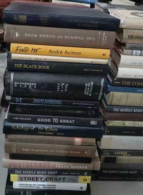 外文精装样板房售楼部用书摆件