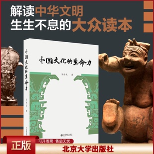 中国文化的生命力 解读中华文明生生不息大众读本 中国优秀传统文化普及读物 发现汉语之美 中国哲学艺术精神