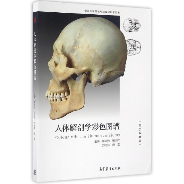 正版  人体解剖学彩色图谱（第2版修订） [Colour Atlas of Human Anatomy] 隋鸿锦，张绍祥，刘树伟 等 编  高等教育出版社 97870