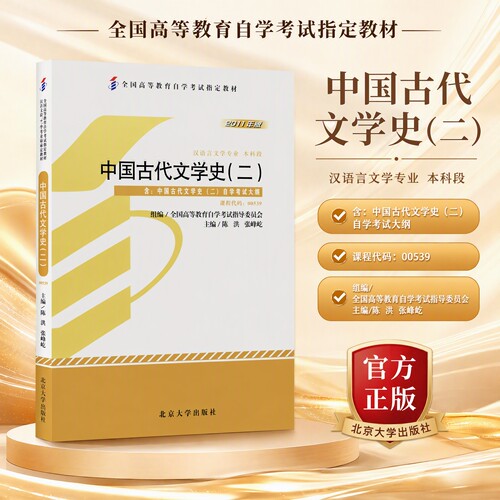 正版中国古代文学史二陈洪张峰屹