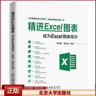 正版 精进EXCEL图表:成为EXCEL图表高手 周庆麟,周奎奎 北京大学出版社 9787301307083