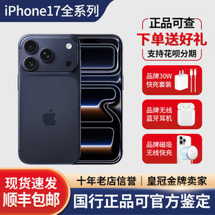 苹果 max新款 iPhone Pro全网通双卡国行pro 5G手机17pro Apple