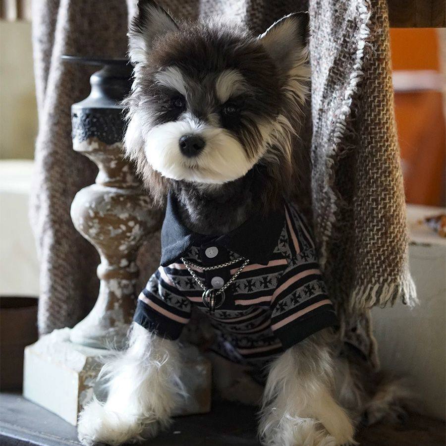 狗狗衣服春夏条纹打底POLO帅气超萌翻领短袖T潮2025新款狗狗衣服,宠物/宠物食品及用品,狗宠物服装/雨衣,淘宝优惠券,粉丝福利购,淘宝优惠卷
