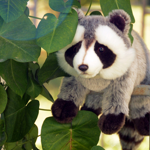 可爱小浣熊毛绒公仔灰色小熊猫玩偶獾玩具仿真动物布娃娃生日礼物