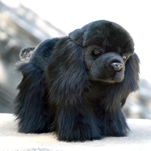 仿真可卡犬毛绒玩具可爱黑色狗狗玩偶英卡猎犬公仔布娃娃生日礼物