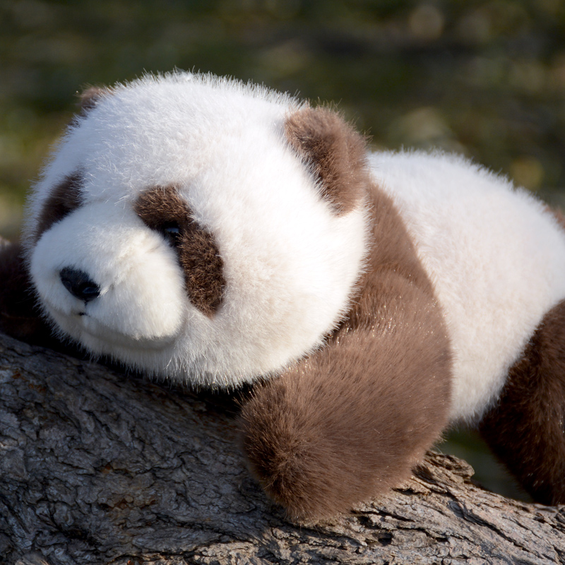 熊猫公仔聚酯纤维仿真