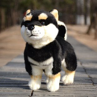 可爱柴犬毛绒玩具黑柴犬公仔棕色柴犬玩偶仿真秋田犬娃娃生日礼物