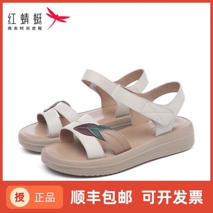 夏季 2024新款 真皮品牌妈妈凉鞋 红蜻蜓正品 中老年软底舒适防滑轻便