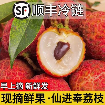 正宗仙进奉荔枝新鲜现摘荔枝当季水果高端送礼精品5整箱顺丰包邮