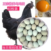 40枚正宗散养乌鸡蛋农家绿壳鸡蛋柴鸡蛋新鲜宝宝孕妇蛋月子蛋
