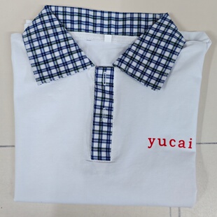 夏季辽宁阜新市育才学校短袖T恤纯棉高品质POLO衫男女校服同款