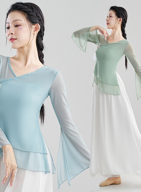 古典舞纱衣身韵飘逸演出服女套装中国风仙女基训练功服舞蹈上衣女