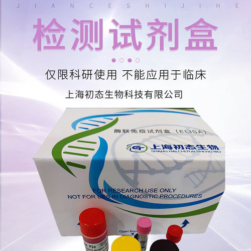 碱性磷酸酶（AKP/ALP）ELISA试剂盒