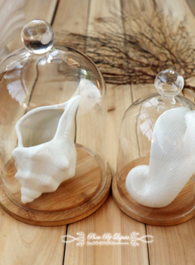 外单地中海风陶瓷蜡烛模具鹦鹉螺