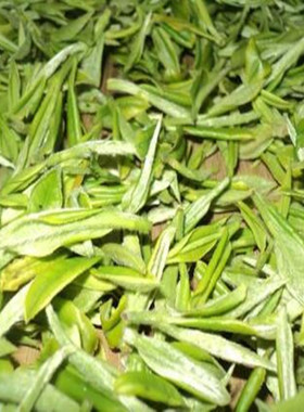 2025东固明前珍品龙井茶（1957老茶树）250克预订