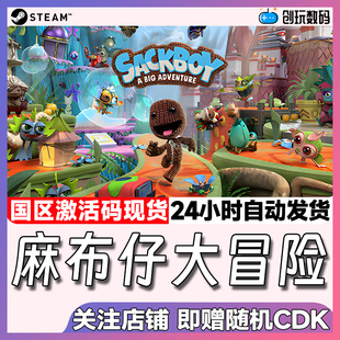 Sackboy 麻布仔大冒險 Adventure 國區激活碼 Big Steam正版