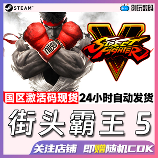 街头霸王5街霸5 国区激活码 Street Fighter Steam中文正版
