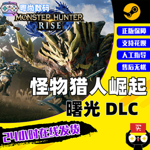 狩猎 MONSTER 激活码 cdkey HUNTER 怪物猎人崛起 RISE 曙光DLC PC中文正版 合作 动作 Steam游戏