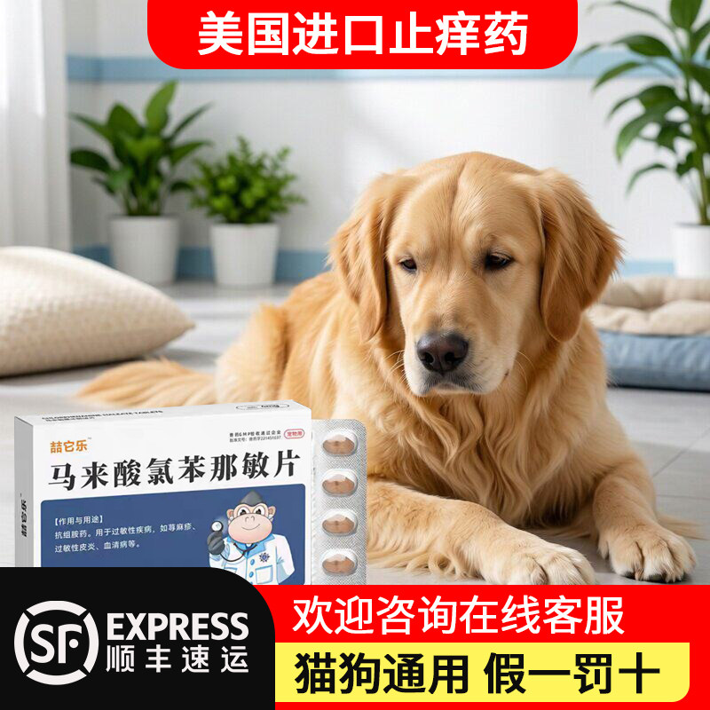 进口宠物止痒药狗狗皮肤病特效药内服狗猫真菌细菌异味皮炎过敏