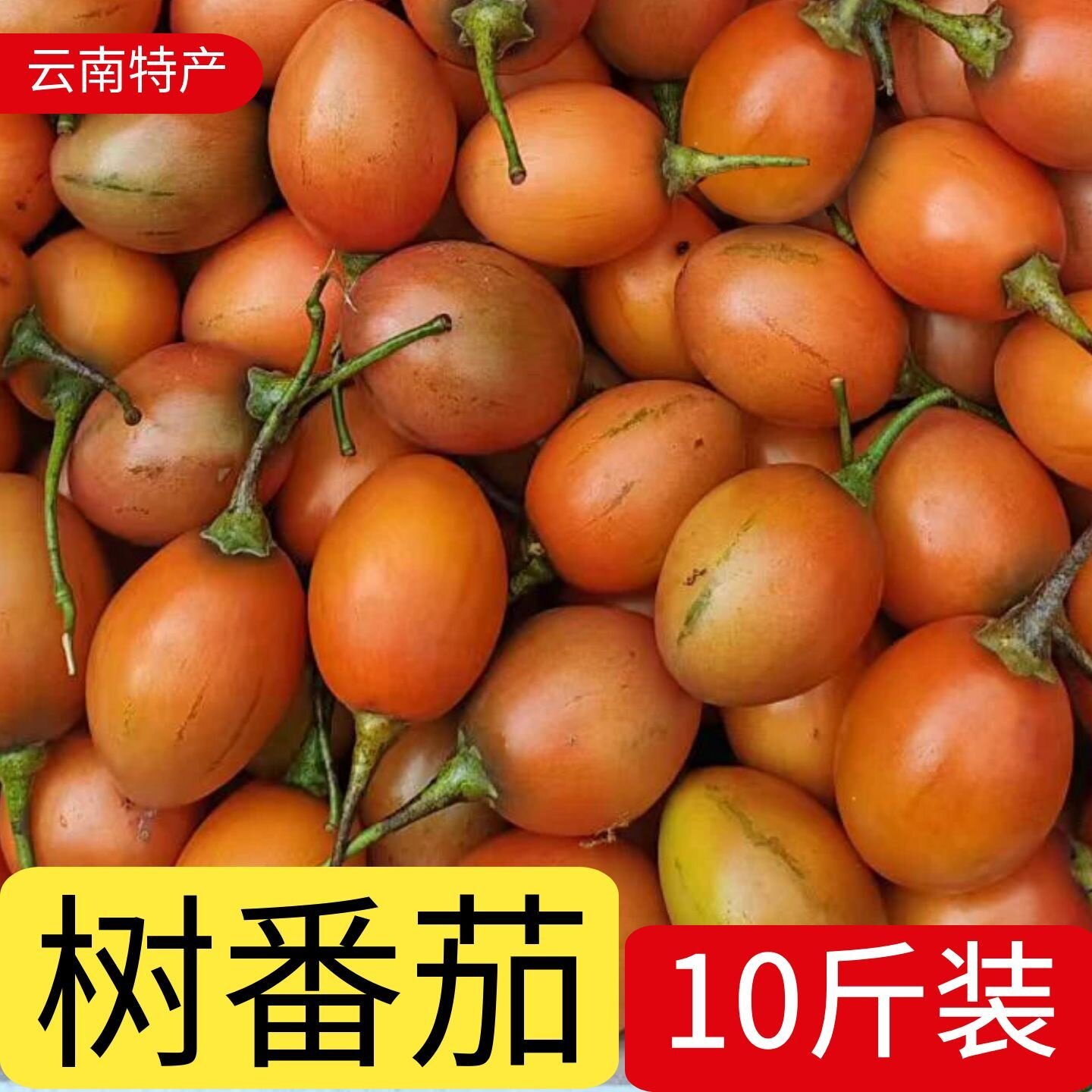 大树番茄云南新鲜蔬菜洋番茄酸味果子傣味酸汤调料树蕃茄大果包邮
