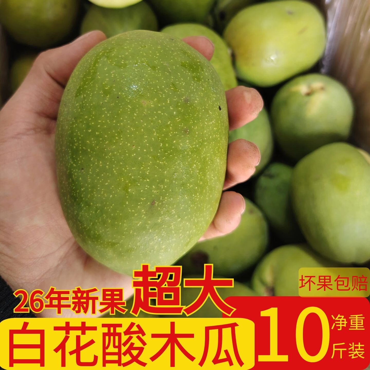 云南特产大理白花酸木瓜新鲜绿青木瓜酸脆孕妇酸水果解腻特大木瓜