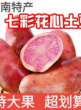 云南丽江新鲜七彩土豆红皮洋芋