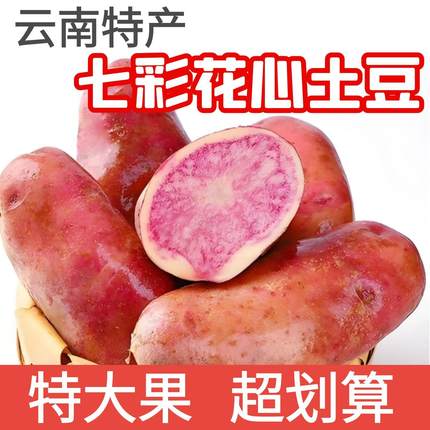 云南丽江特产新鲜七彩土豆红皮花心洋芋红心马铃薯彩色洋芋特大果