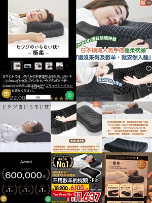 限时售～外贸公司出口日本原厂订单枕头