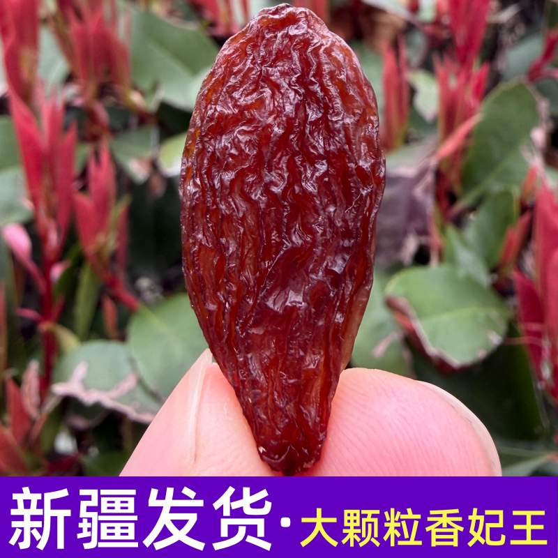 新疆特产绿香妃王葡萄干500g*2特大超大无核吐鲁番红香妃干果新货