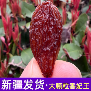 新疆特产绿香妃王葡萄干500g*2特大超大无核吐鲁番红香妃干果新货