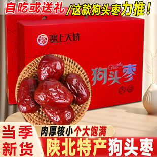 塞上天娇陕西特产狗头枣当季新货肉厚核小礼盒1kg农家红枣伴手礼
