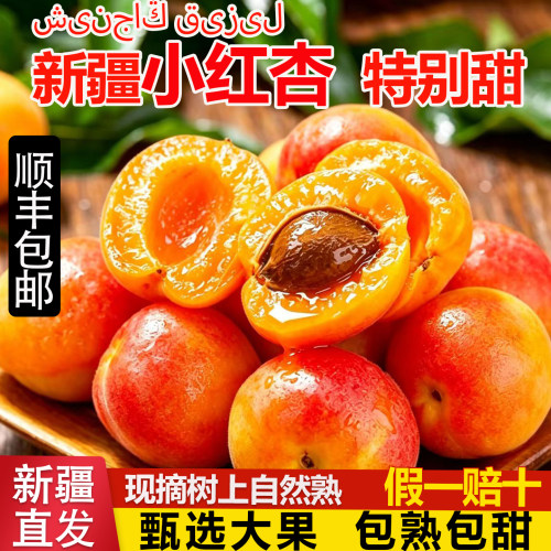 新疆阿克苏小红杏顺丰包邮