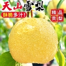 包邮 新疆天山雪梨贡梨当季 新鲜水果脆甜多汁梨子精品礼盒