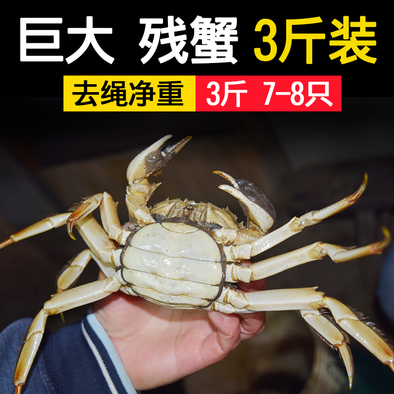 固城湖大闸蟹净重不含绳子
